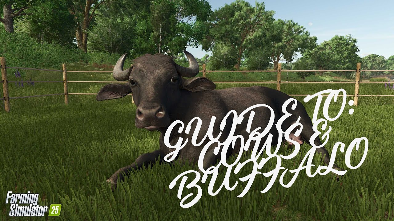 FARMING SIMULATOR 25 GUIDE: COWS & WATER BUFFALO 