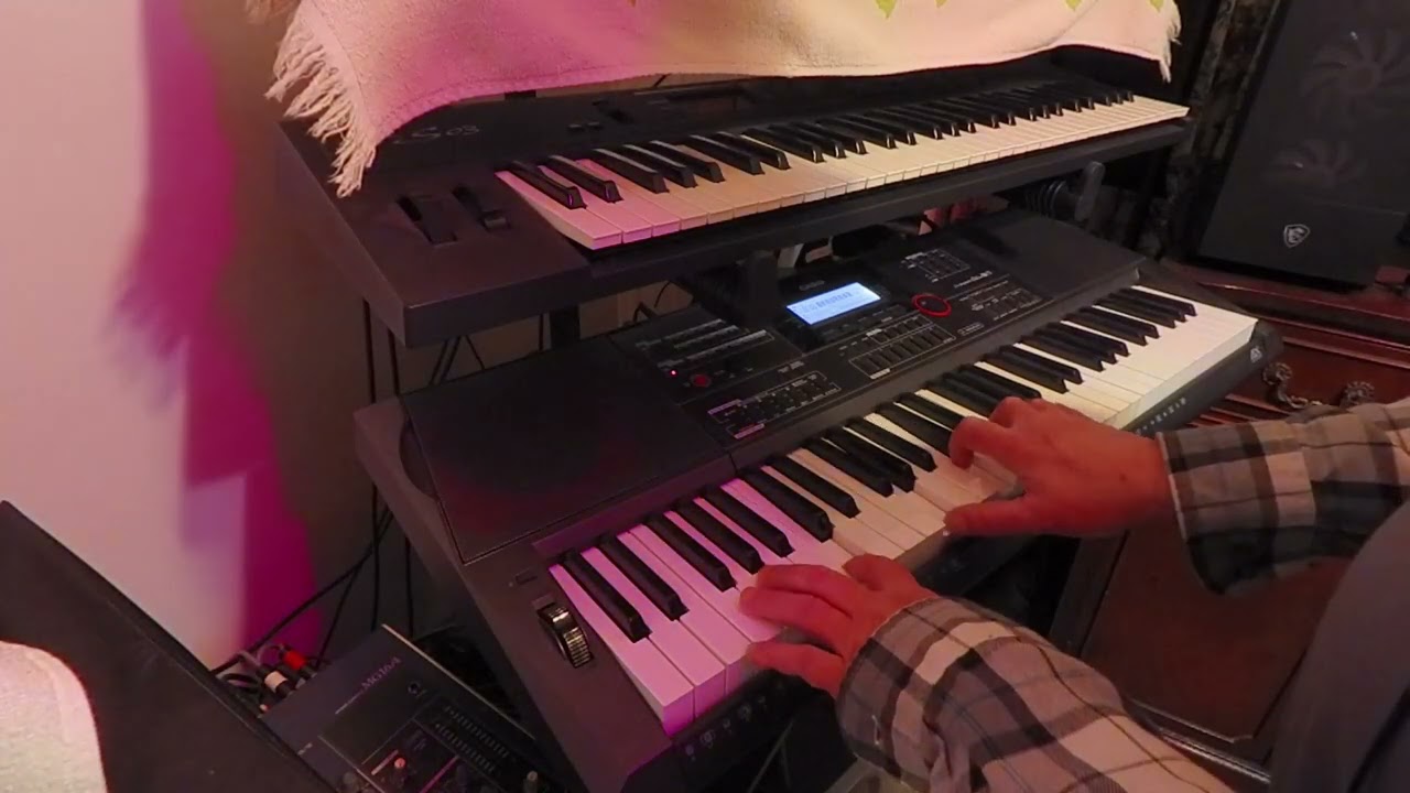 Casio CT-X5000, After The Storm. Snow kidding!