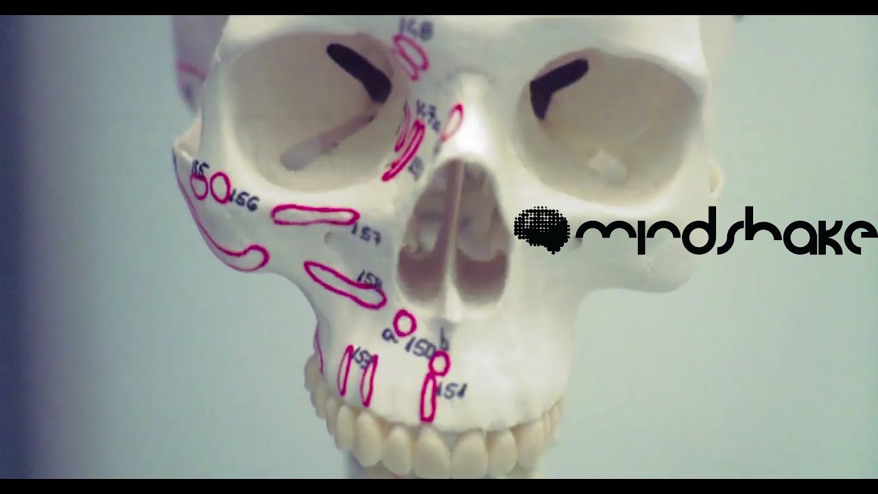 Fer BR - Freak Me Out [Mindshake Records]