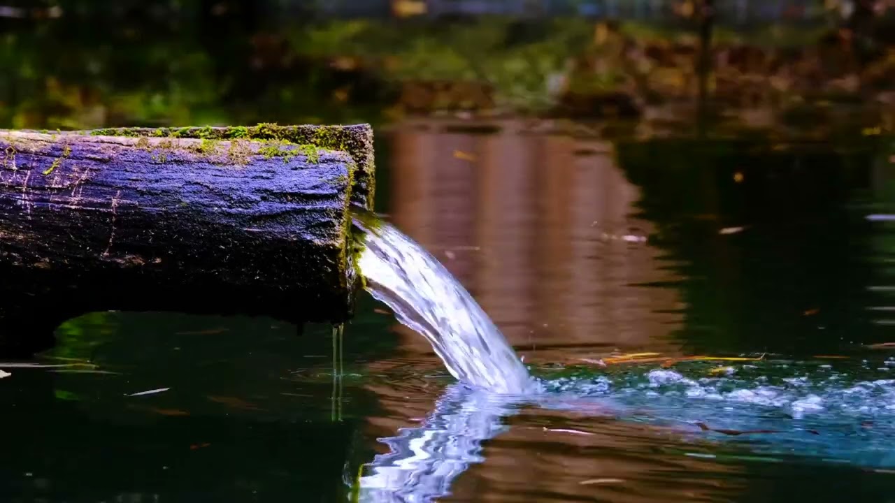 Klares Wasser & Wasserger&auml;usche☆Wasserpl&auml;tschern☆V&ouml;gelzwitschern☆Entspannung☆Relaxing☆ASMR