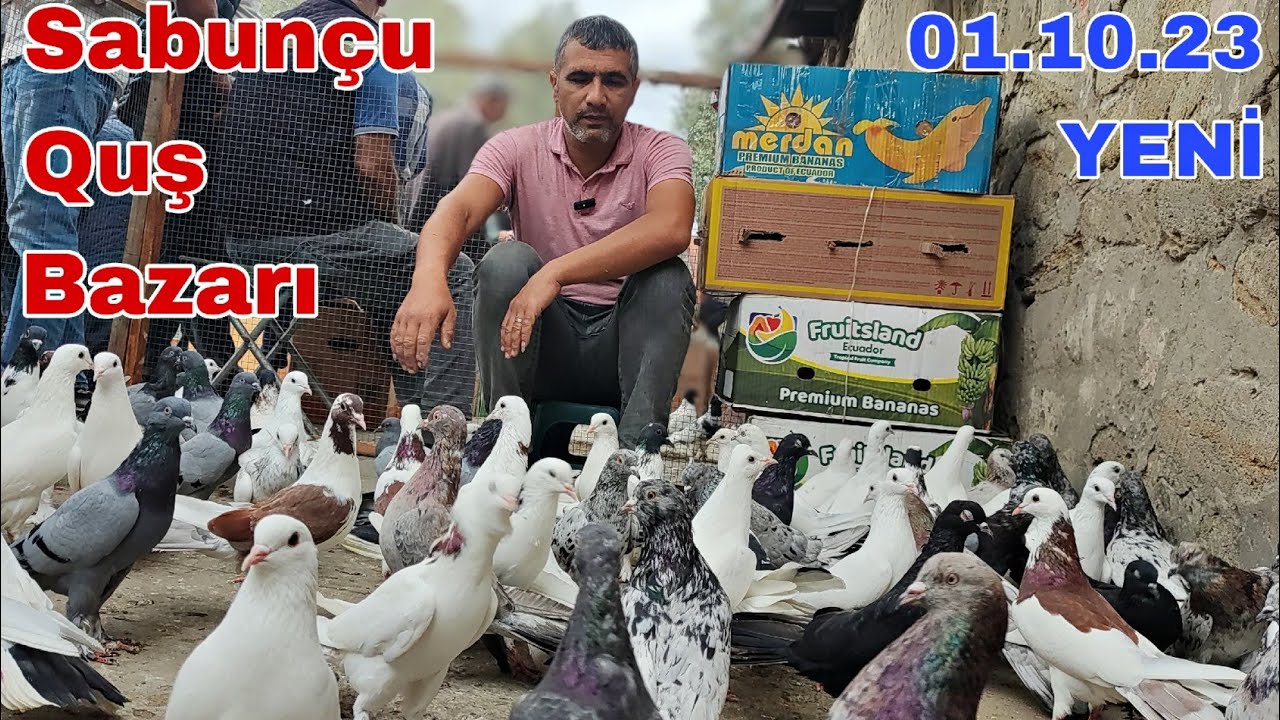 Sabunçu Quş Bazarı 1 oktyabr 2023