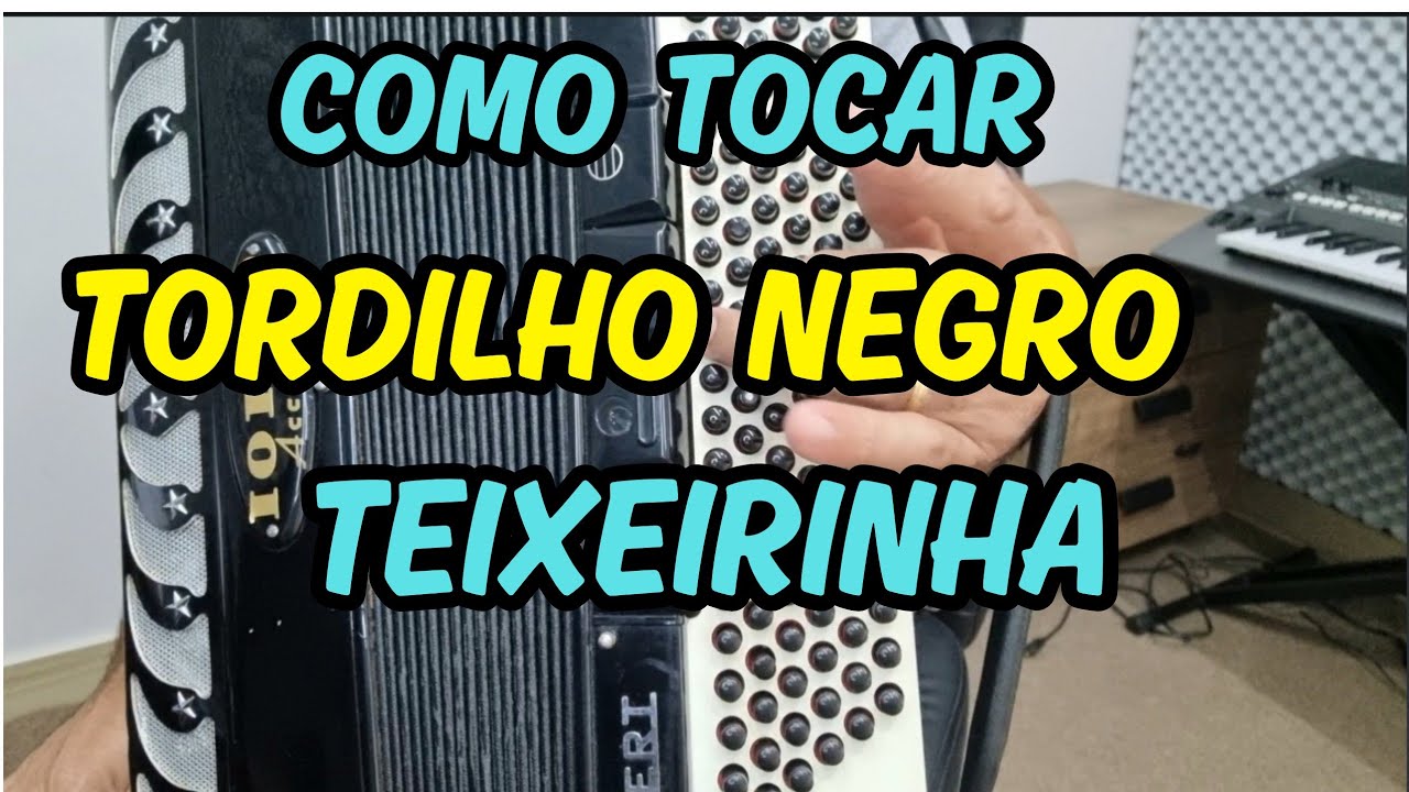 Como Tocar TORDILHO NEGRO - Acordeon SOLO CANTO COMPLETO