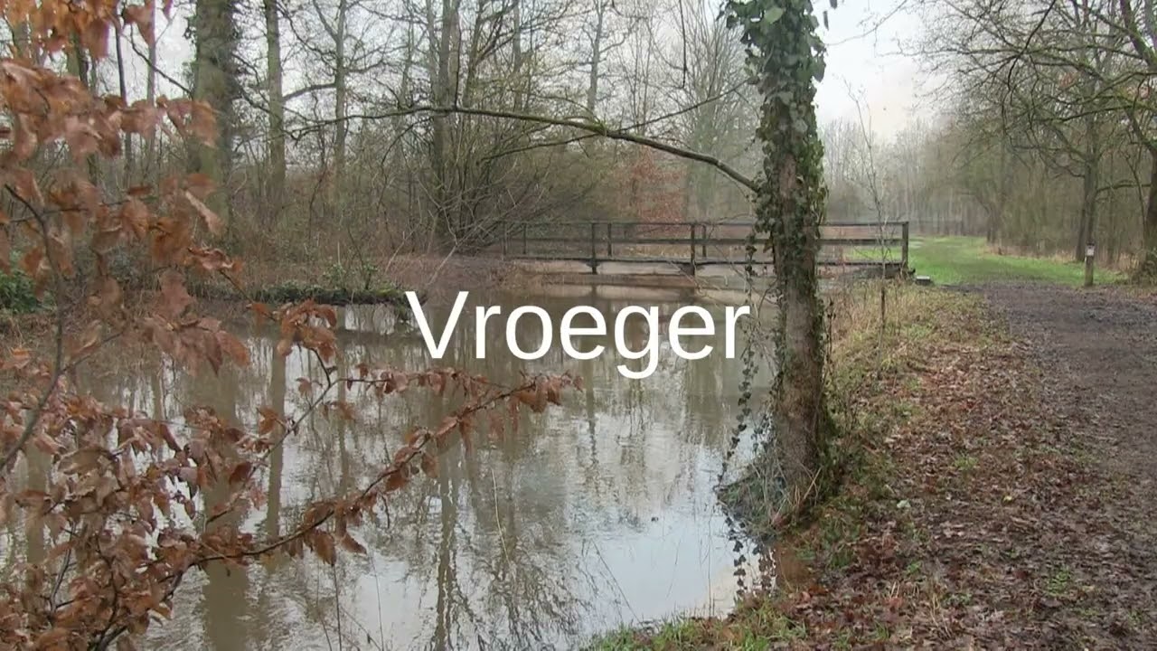 Brugje over de Grote  Laak 22 11 2025