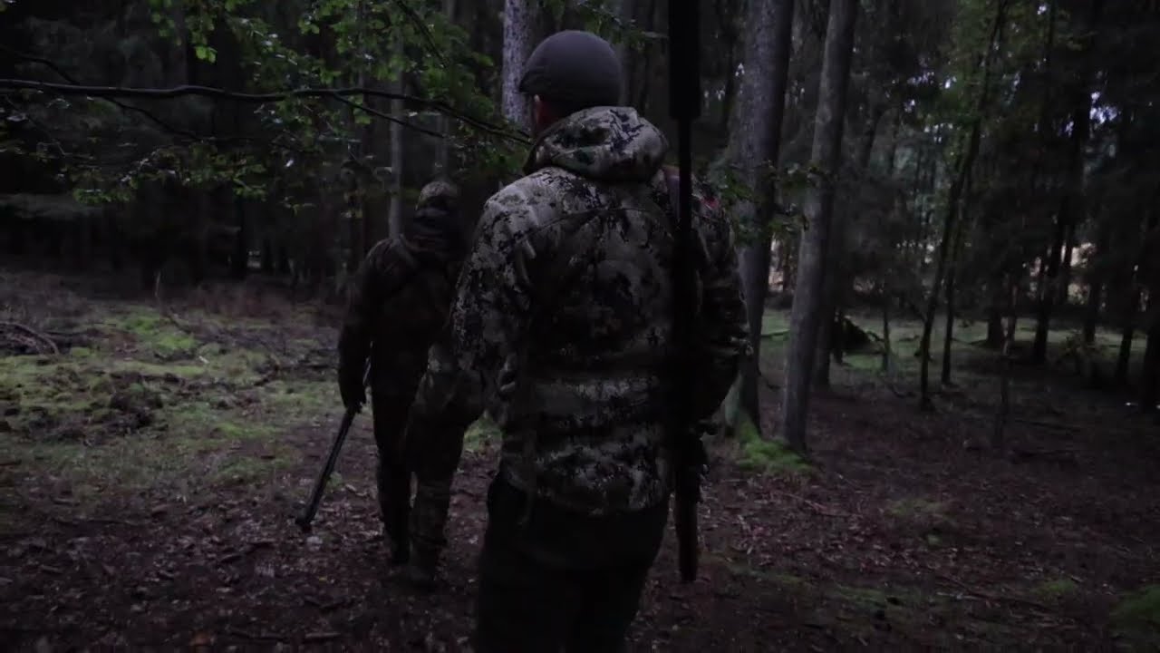 Lovy jelena siky 2024 / Sikahirschjagd 2024 / Sika deer Hunt 2024