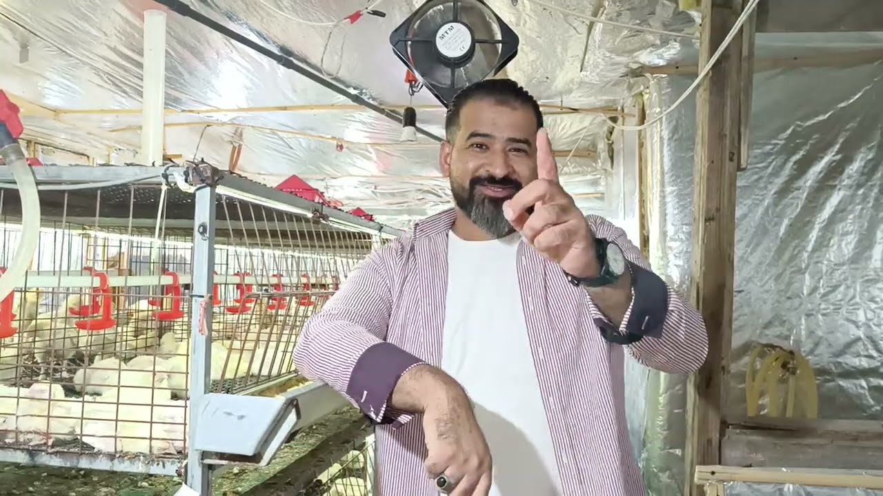 الحلقه الخامسه مع الفنان محمد نجيب واهم دراسه الجدوي لمشروع تربيه الدواجن وشرح مختصر عن العنبر