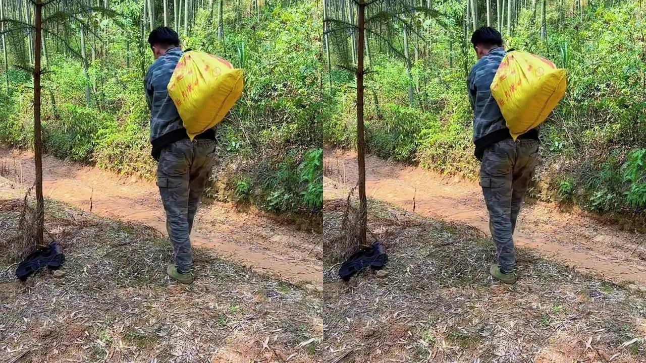 发现一条东非大裂谷……#我的乡村生活 #挖笋的乐趣只有体验过才懂 #白肉笋