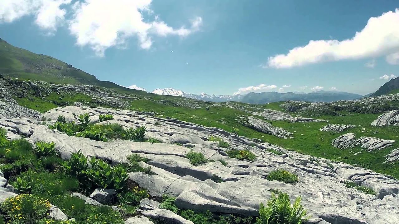 Désert de platé