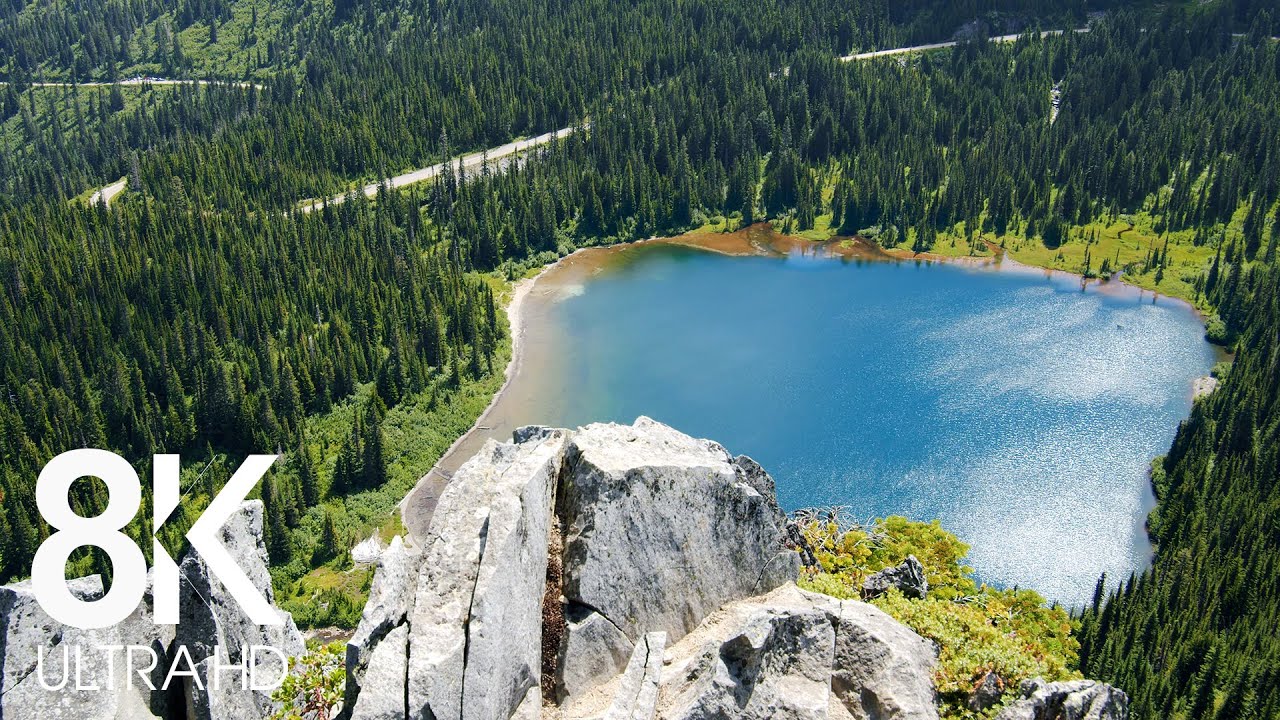 8 HOURS of Cheerful Birds' Chirping - 8K Amazing Mountain View, Mount Rainier National Park