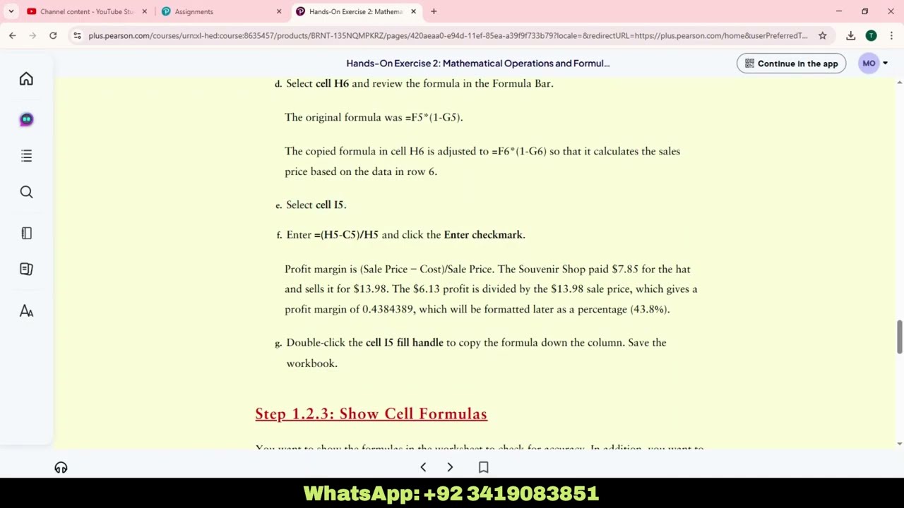 Exp25_Excel_Ch01_HOE_Souvenirs | Exp25 Excel Ch01 | Textbook Assignments | Complete Solution