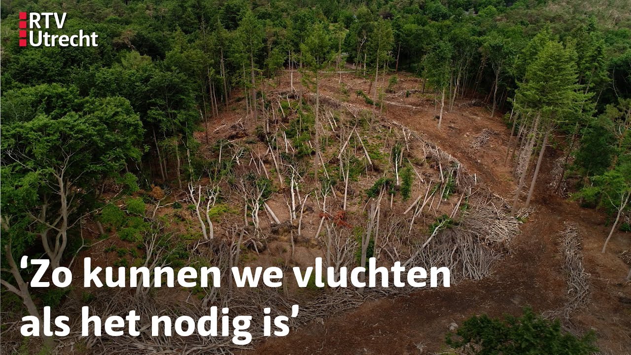 Een jaar na de valwind: Alex en Emmy zetten campingstoeltjes klaar in de kelder | RTV Utrecht