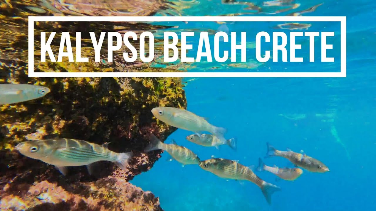 KALYPSO BEACH CRETE, 4K DRONE AND SNORKELLING, MONSIEUR MINIMAL ETHO FEAT MARINA SATTI