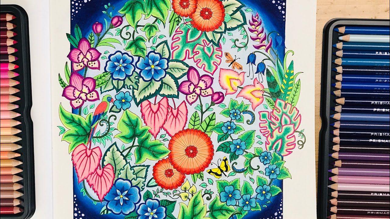 Johanna Basford Magical Jungle 1
