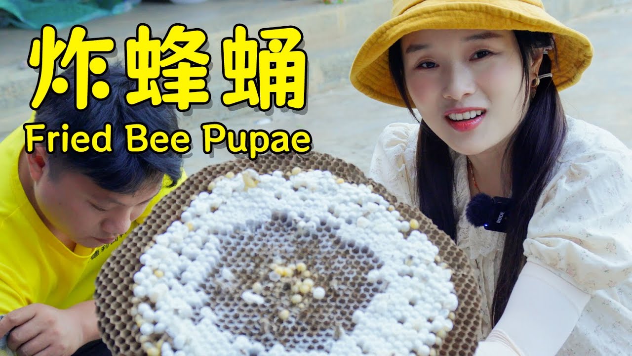 云南用来招待贵客的特色美味——炸蜂蛹 | A special delicacy used to treat honored guests in Yunnan—fried bee pupae.