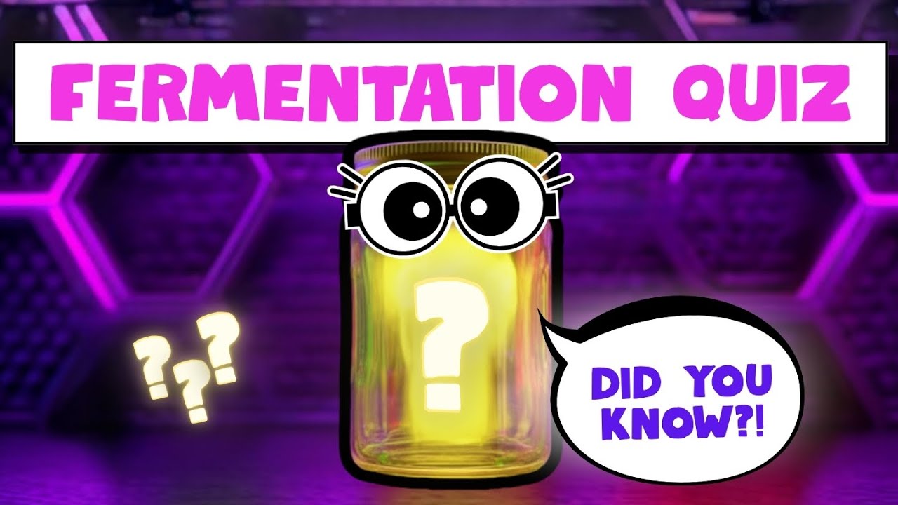 Fermentation Myths: Learn If True Or Poo (Fun Quiz)