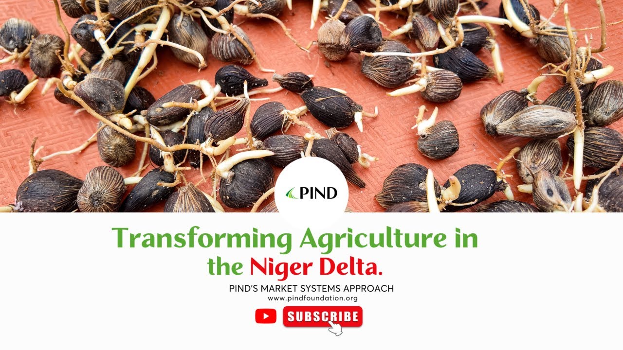 Transforming Agriculture in the Niger Delta through PIND's Market Systems Approach