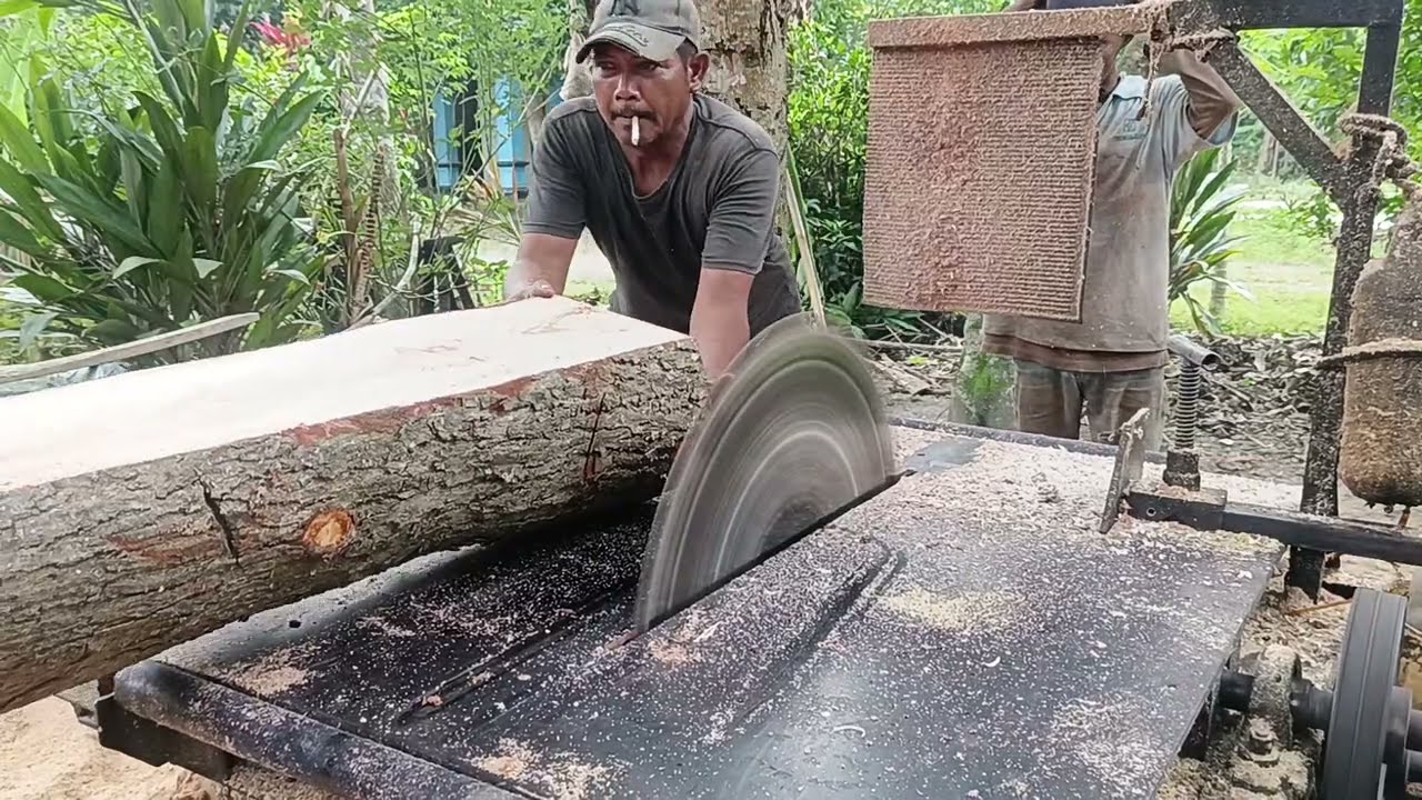 A Skilled Man Turns Logs into Beautiful Masterpieces 