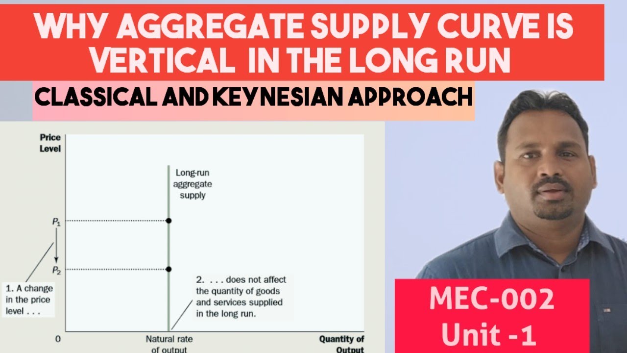 Why aggregate supply curve vertical in the classical model explains the assumption.