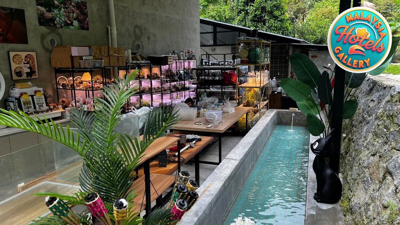 Daze in Nature 5 | Balik Pulau | Penang island | Penang, Malaysia | Hotel Review 🛏️