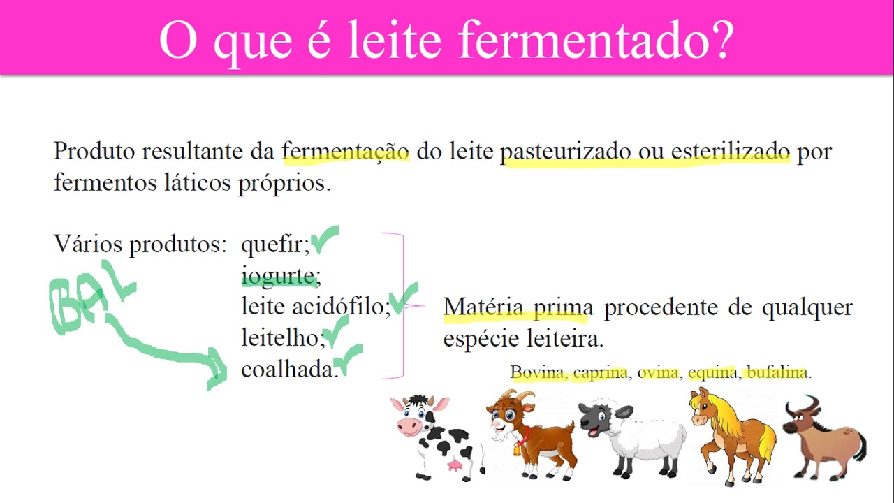 Biotecnologia para a produção de lácteos - Parte 2: Leites fermentados