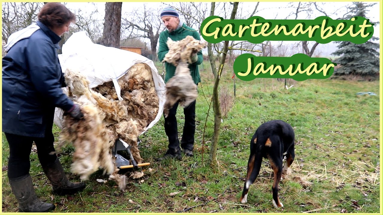 Gartenarbeiten Januar - Hackschnitzelmulch Schafwolle Kaninchen & Hühner