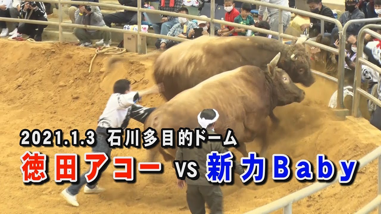 徳田アコー VS 新力Baby [2021.1.3(R3)]