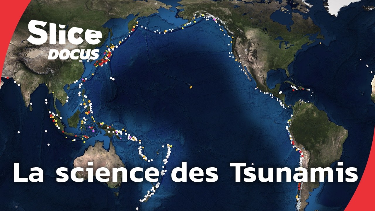 Dans le sillage des Tsunamis | SLICE DOCUS