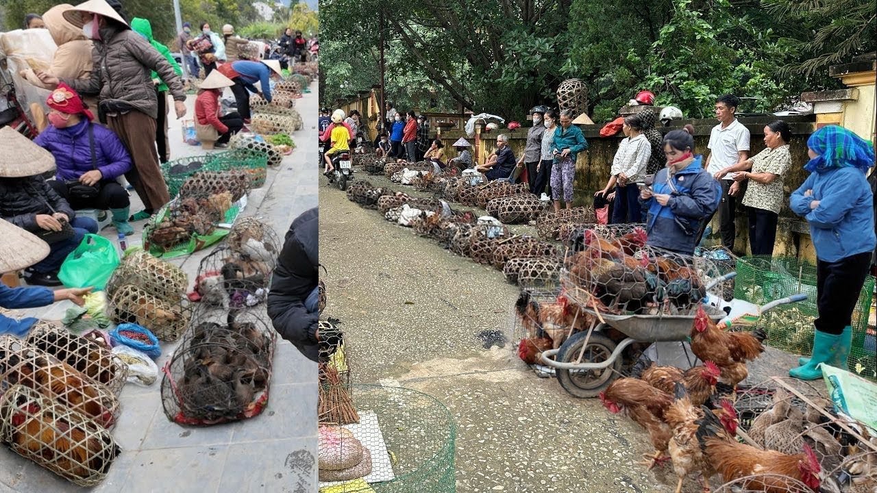 Chợ 