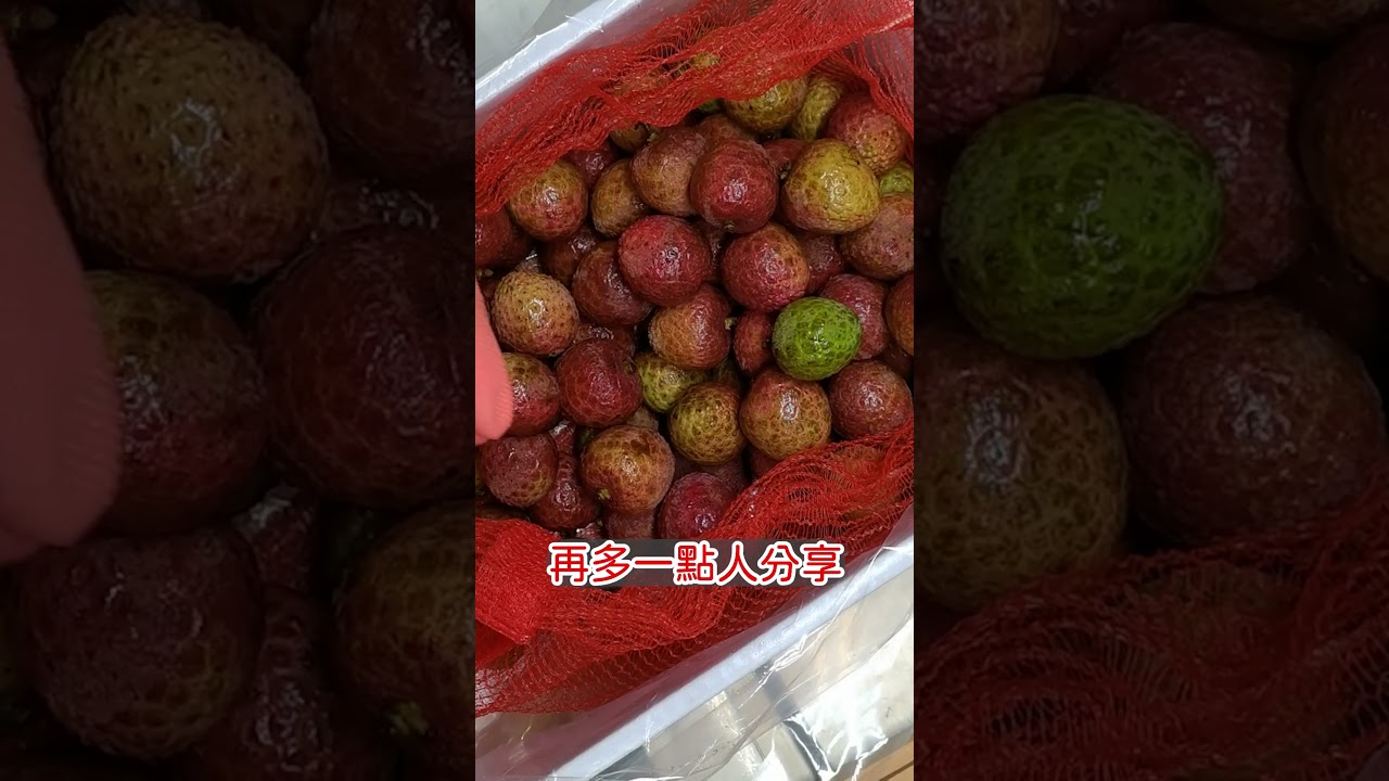 🔥【日本瘋搶・台灣獨享】黑葉荔枝終極開箱！倒數搶鮮預購 &rarr; 錯過等明年！