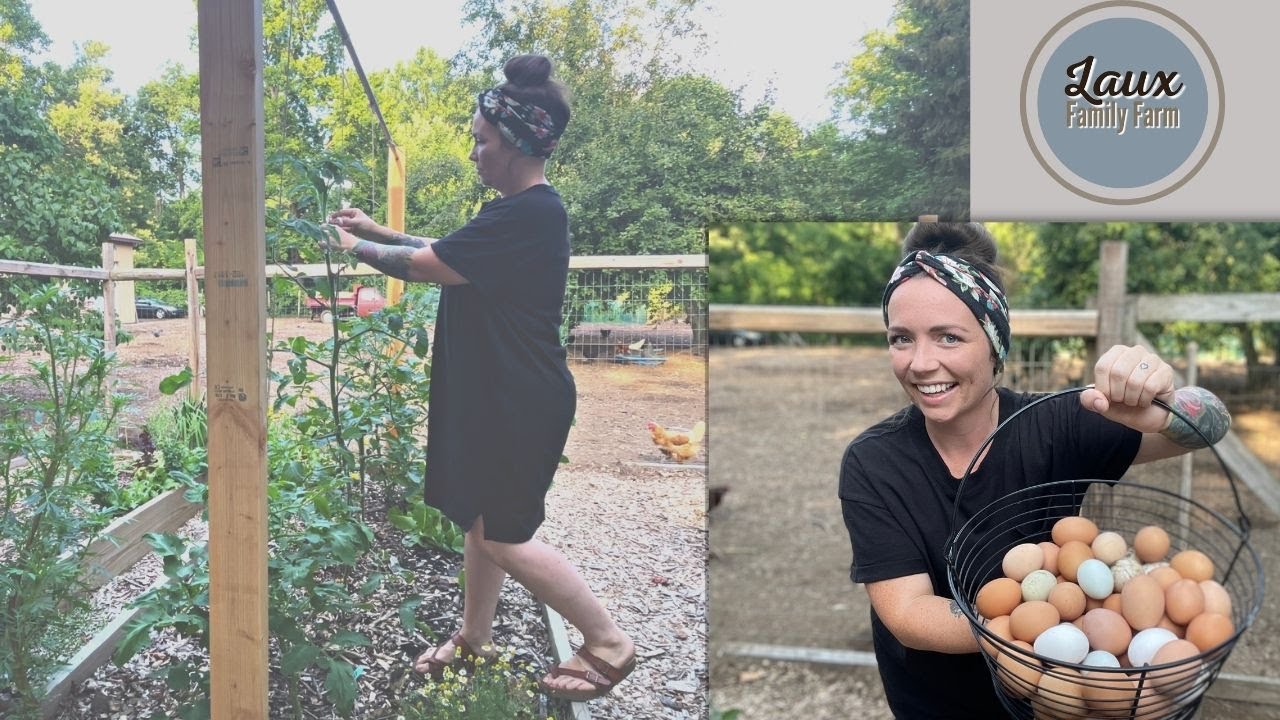 Evening Chores on our 2 Acre Homestead // Potato Harvesting // VLOG // Laux Family Farm