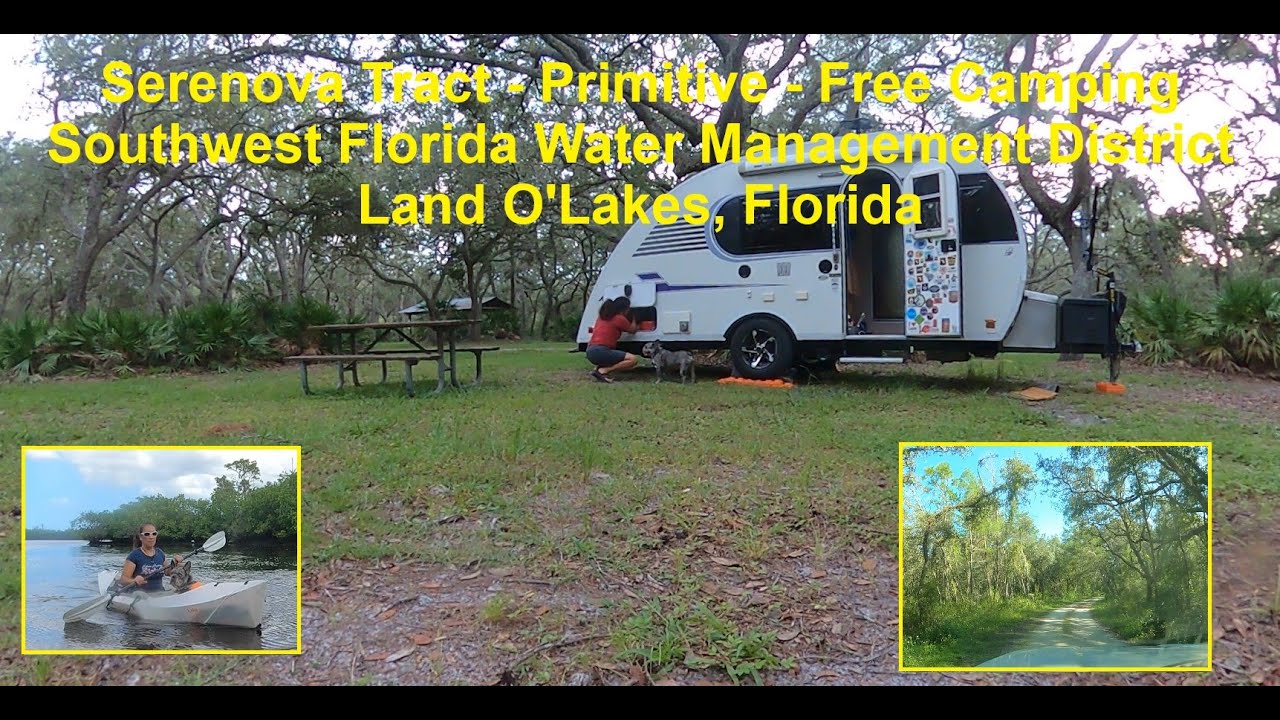 Serenova Tract - Free - Primitive Camping, Southwest Florida Water Management, Land O'Lakes, Florida