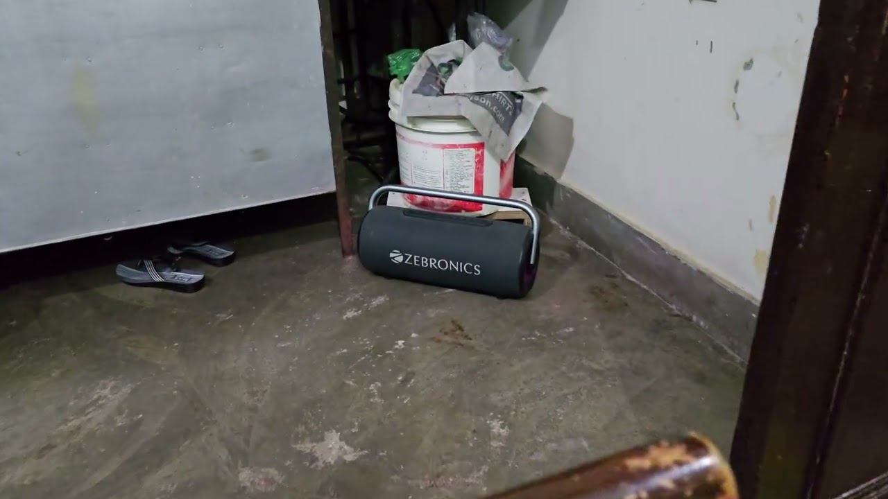 Zebronics Axon 100 Indoor bass Testing 😁  | Remix bass song  punch Testing | #zebronics #speaker 