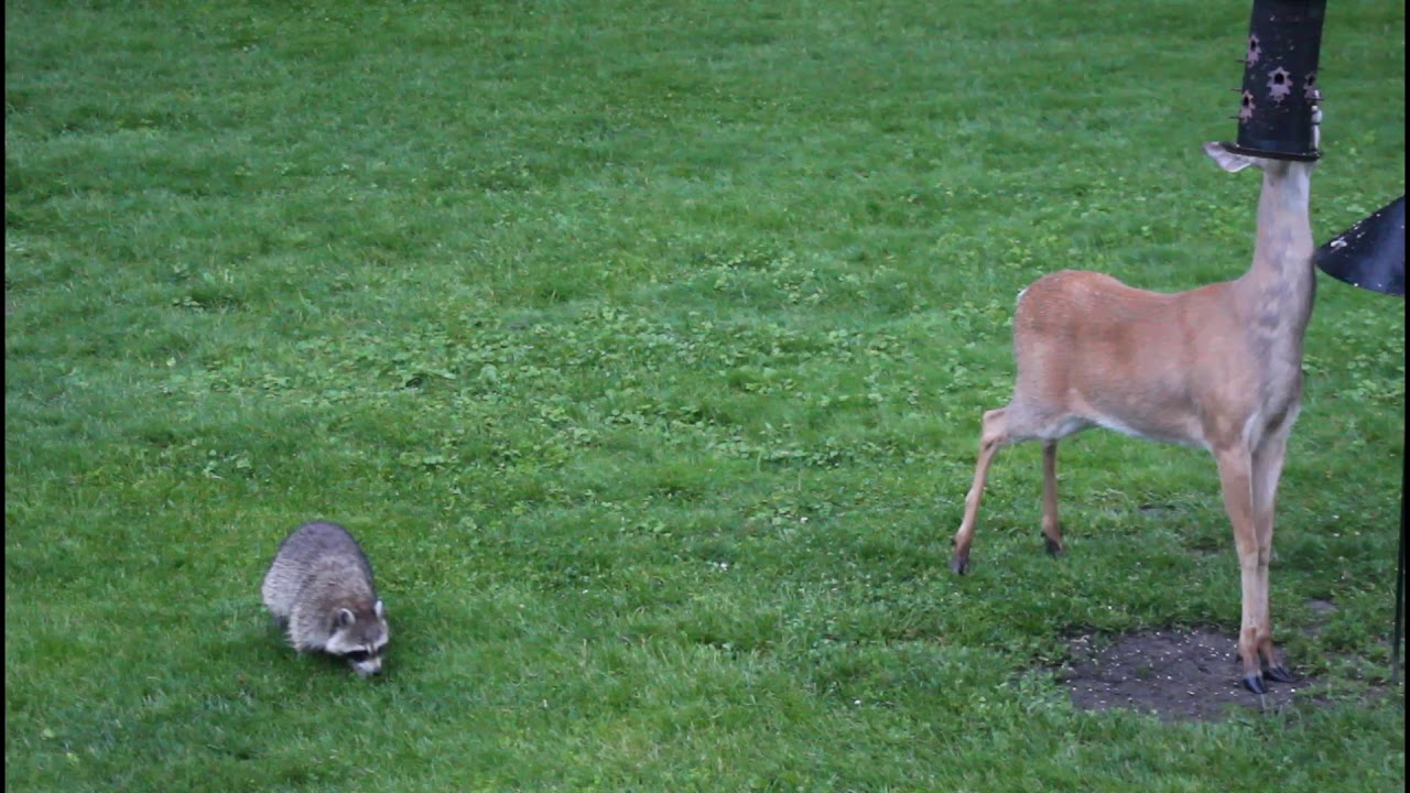 Hey don't bogart that seed bro.