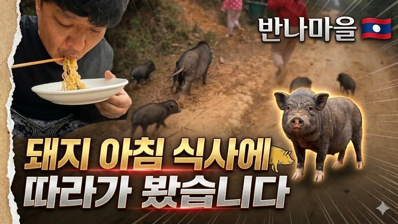 (반나마을) 돼지 아침 식사에 따라가 봤습니다 🇱🇦 36
