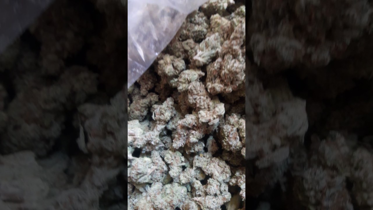 White Fire OG Kush