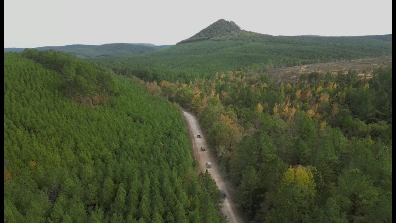 Surviving Wildcat Mountain & Forked Mountain