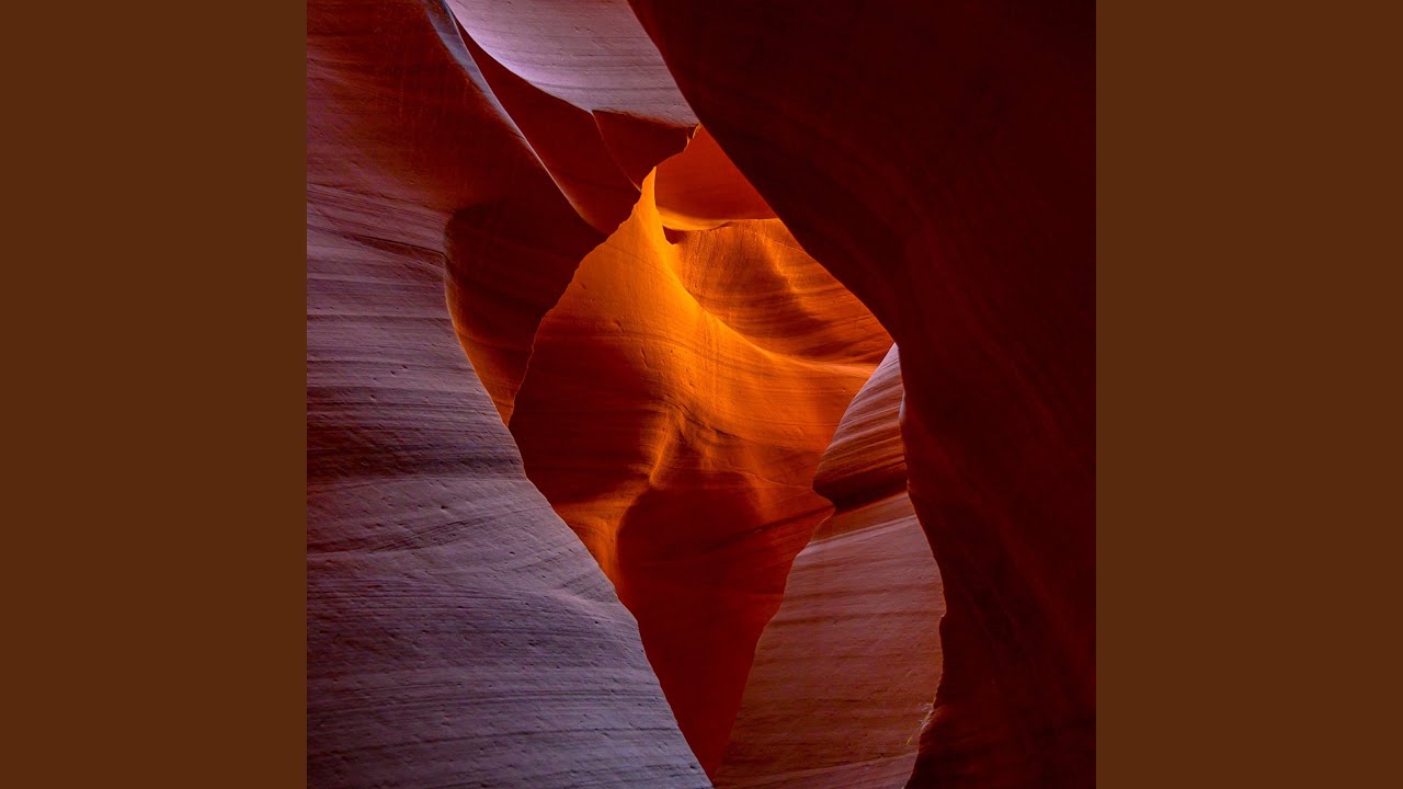 Desert Flower
