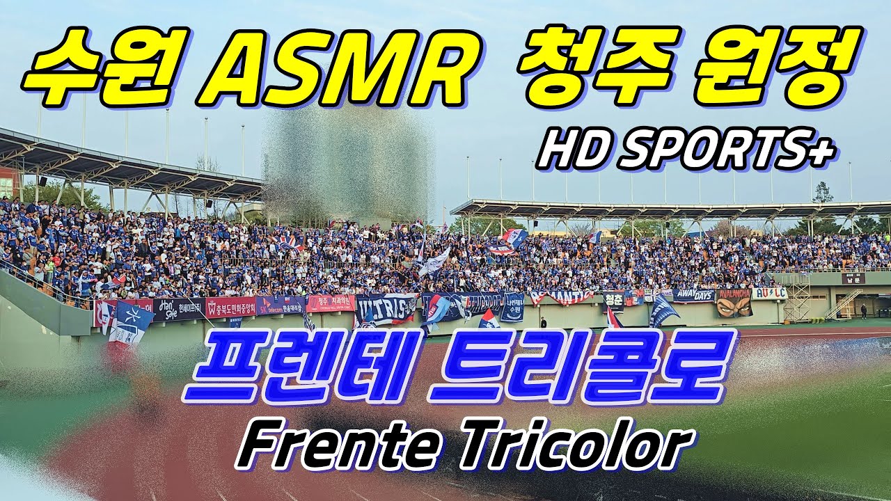 240407 청주 원정 응원 모음 - 수원 삼성 ASMR