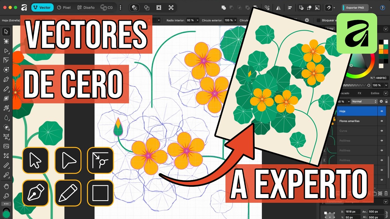 🖋️ Cómo ilustrar con Vectores paso a paso | Tutorial Affinity by Canva (Parte 1)