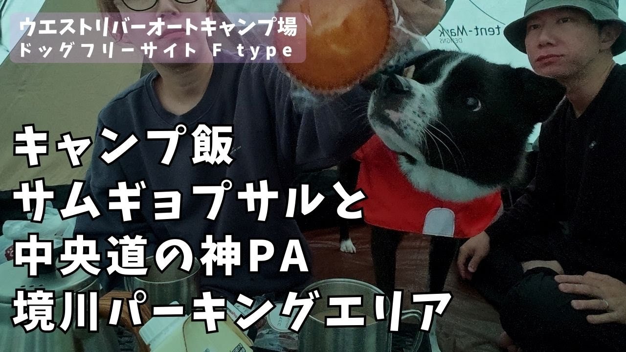 【ウエストリバー④】トビー、帰宅拒否犬になる