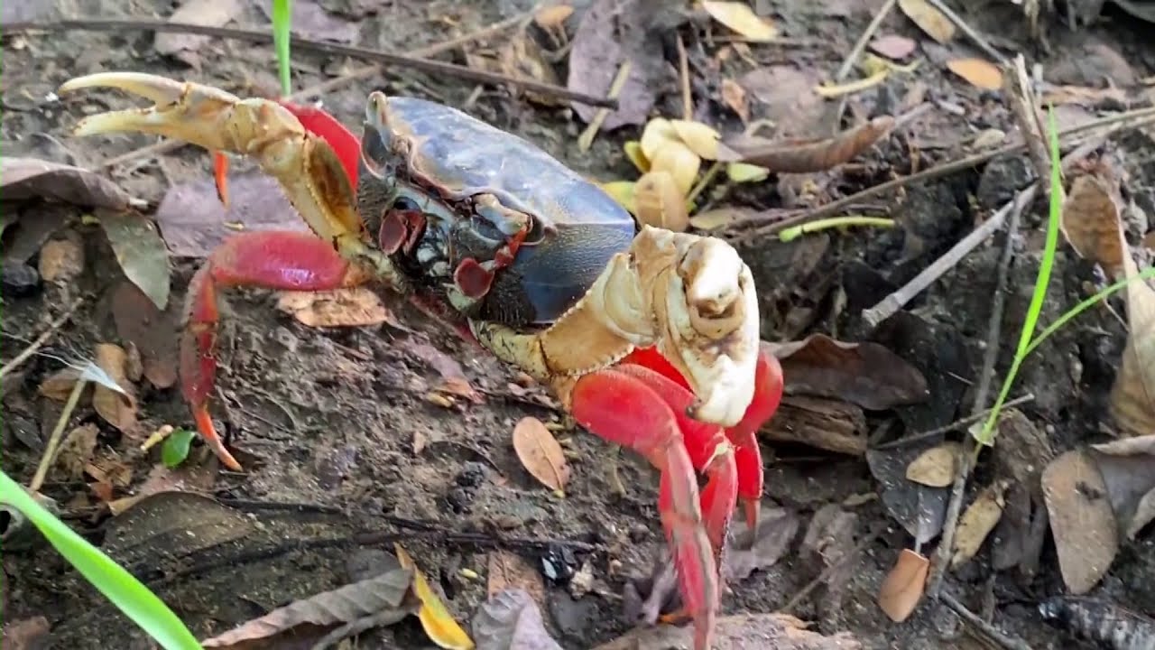 Hechos del Agro - Resumen 2023