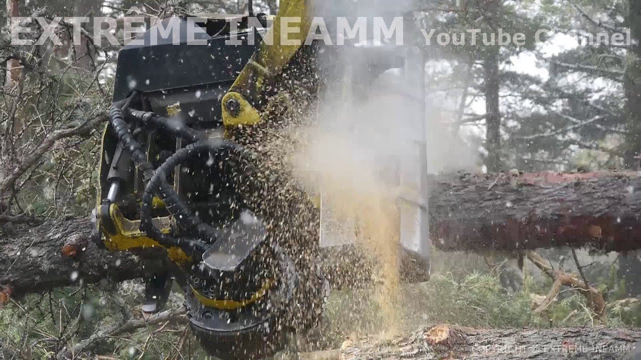 La B&ecirc;te en action EXTR&Ecirc;ME ! Abatteuse John deere