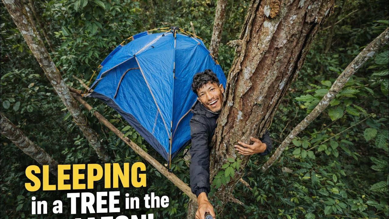 Solo Survival Night: Sleeping on a Tree in a Tent