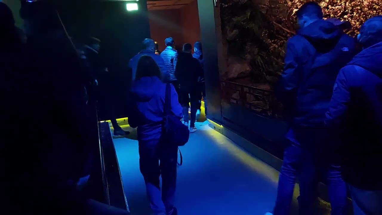 Laatste Voorstelling van De Chinese Nachtegaal (Efteling) - Afscheid van een Sprookjesbos-klassieker