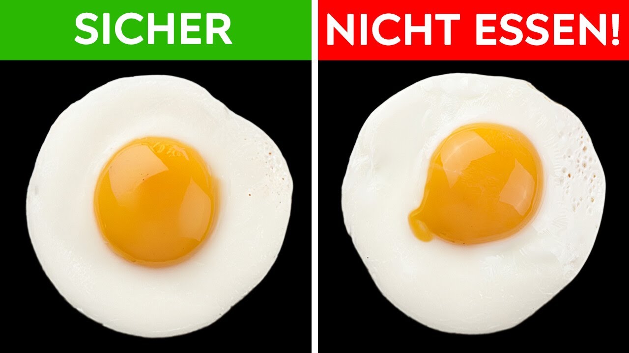 100 verblüffende Fakten über alles und jedes