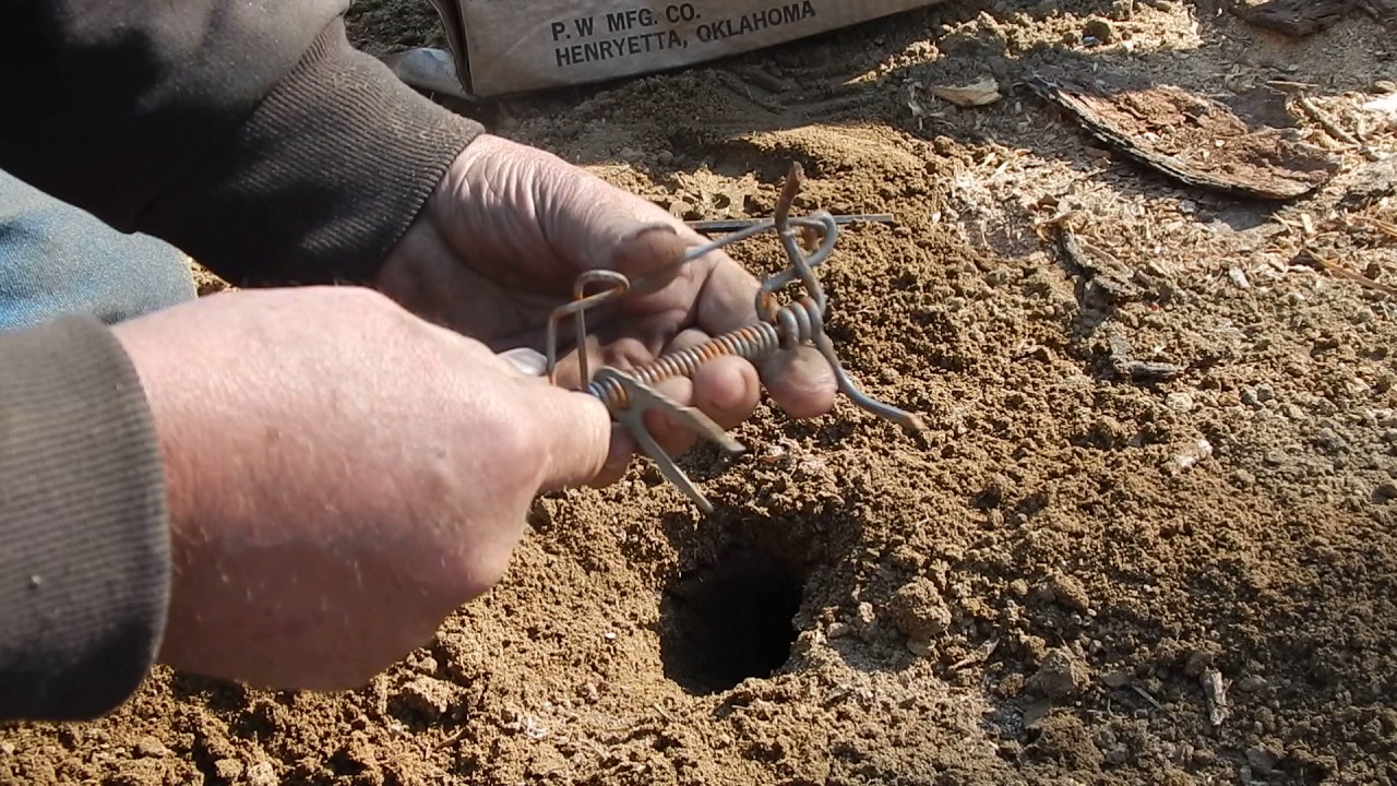 The DK-1 Death Klutch Pocket Gopher trap