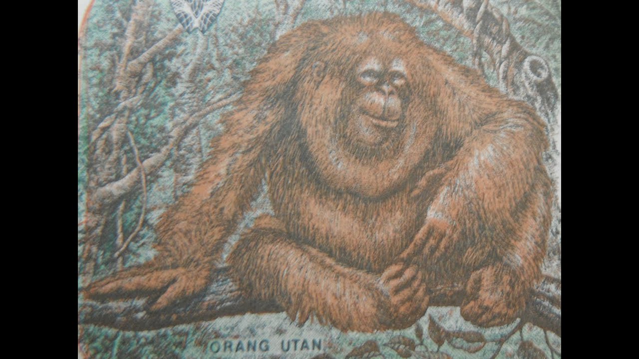 Indonesia 500 Rupiah Banknote, 1992 Issue