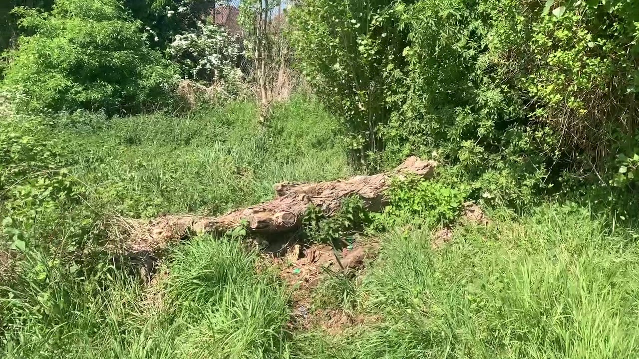 SELBY WALK THROUGH