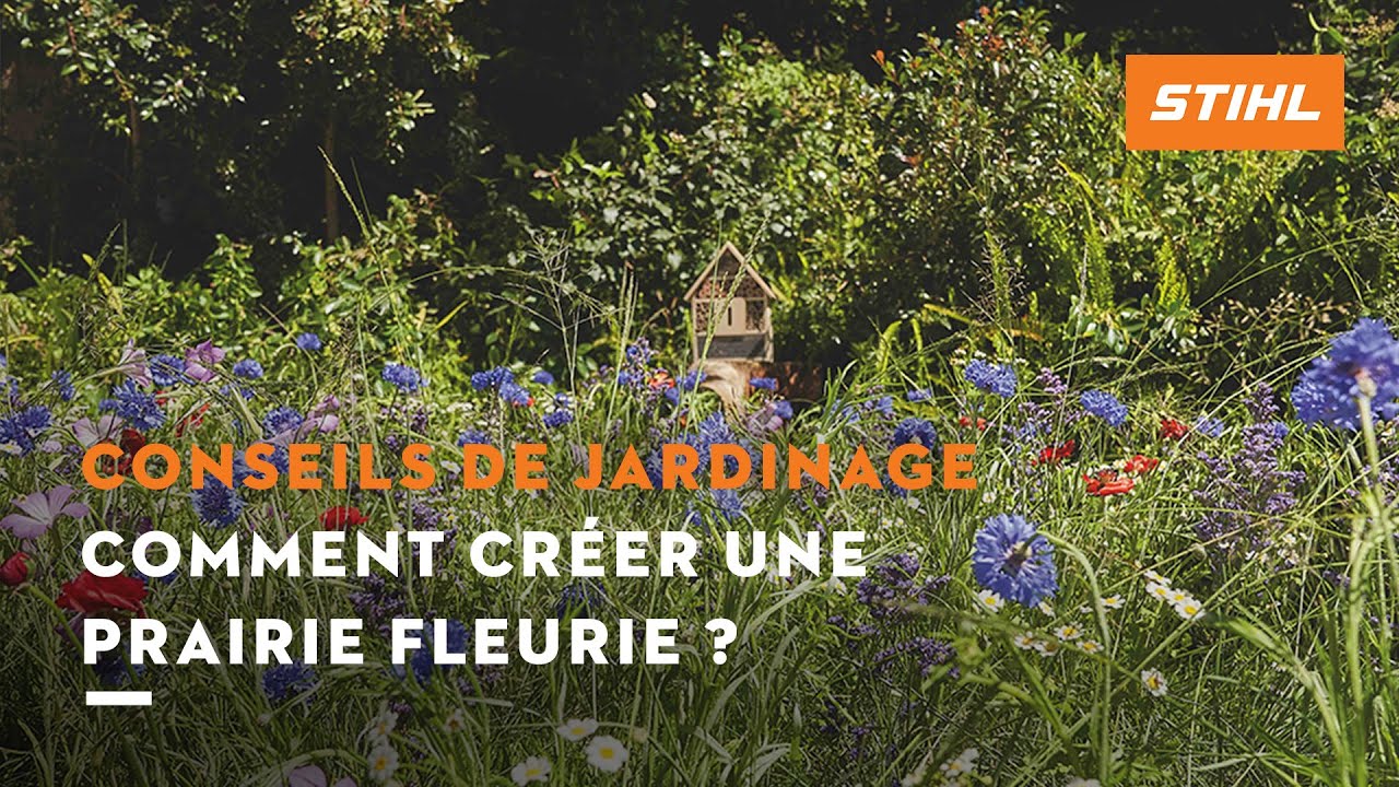 Comment créer une prairie fleurie | Conseils de jardinage STIHL