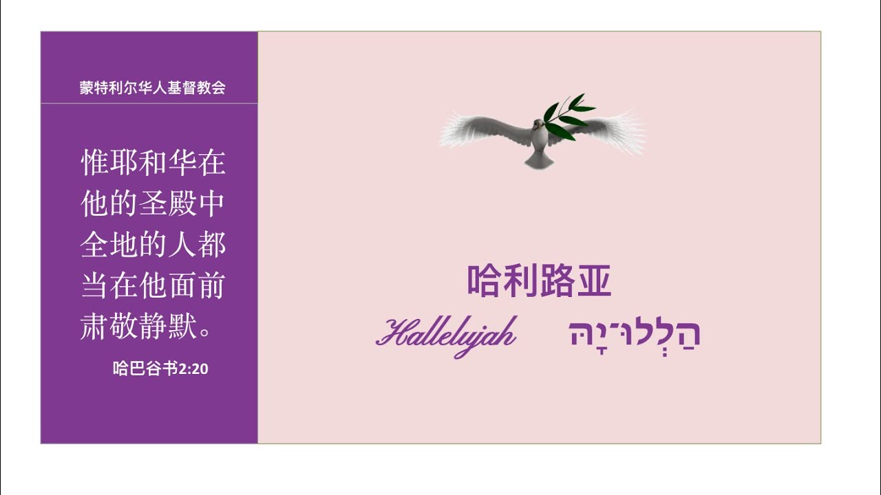 我的直播