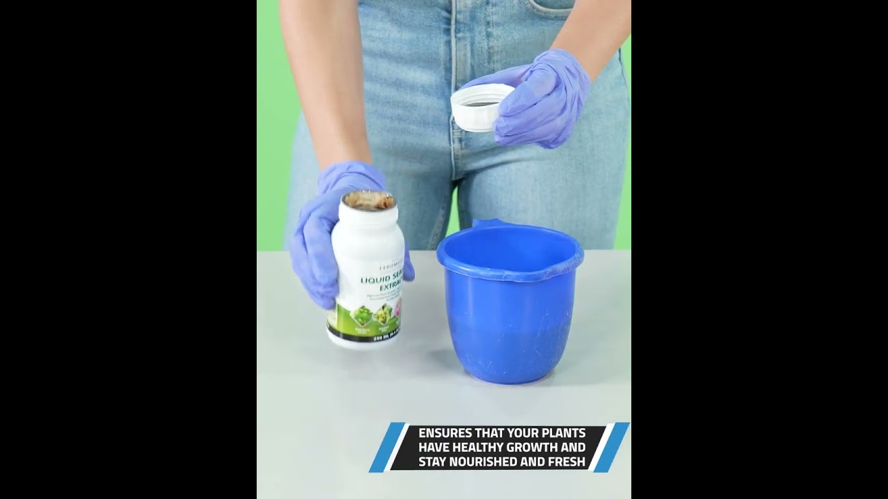 Feromones Liquid Seaweed Extract